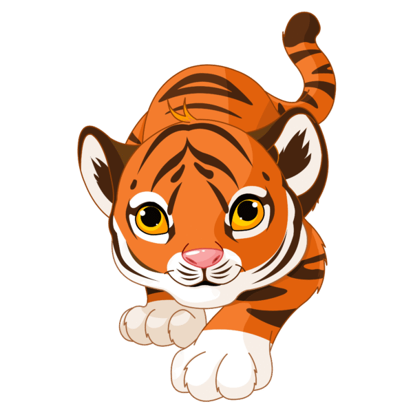 TIGER GRAPHICS BUNDLE - Image 6